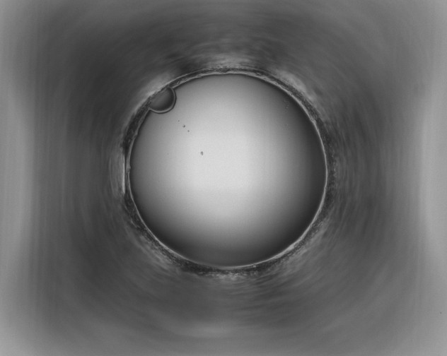 X0000116291219200912071204