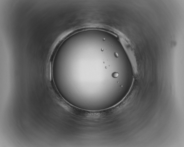 X0000116291223200912071204