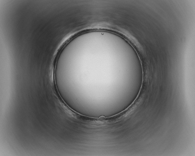 X0000116291224200912071204