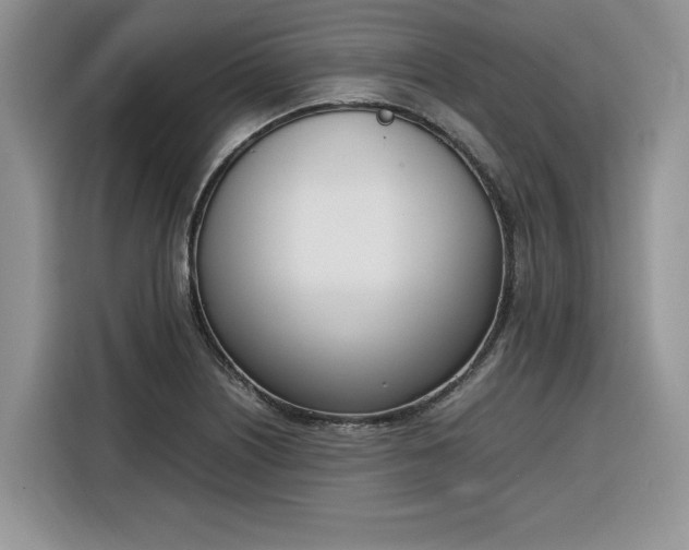 X0000116291226200912071204