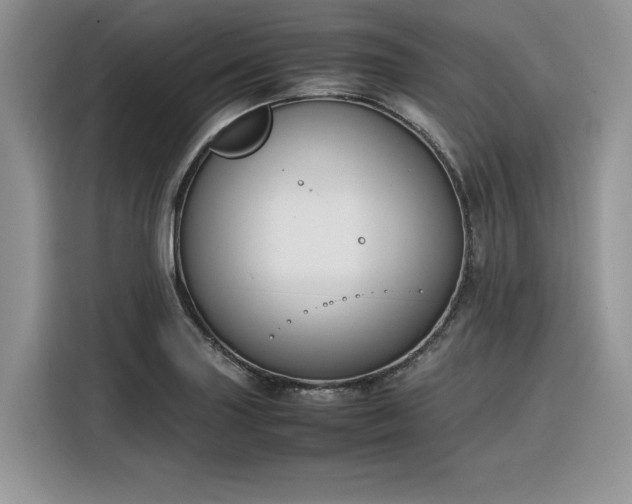 X0000116291227200912071204