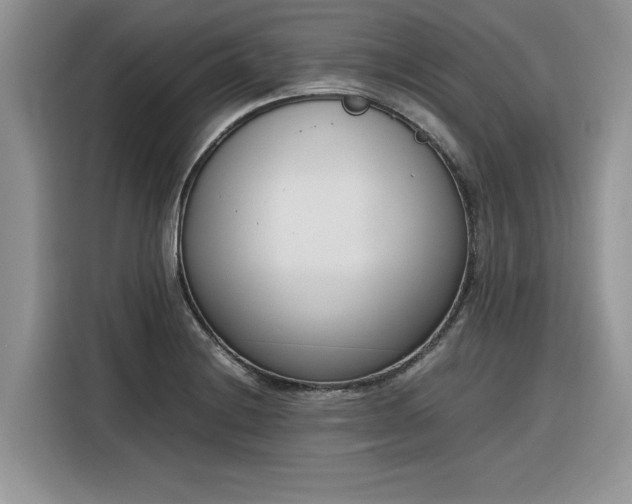 X0000116291228200912071204