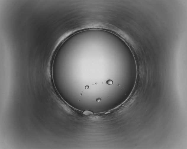 X0000116291230200912071204