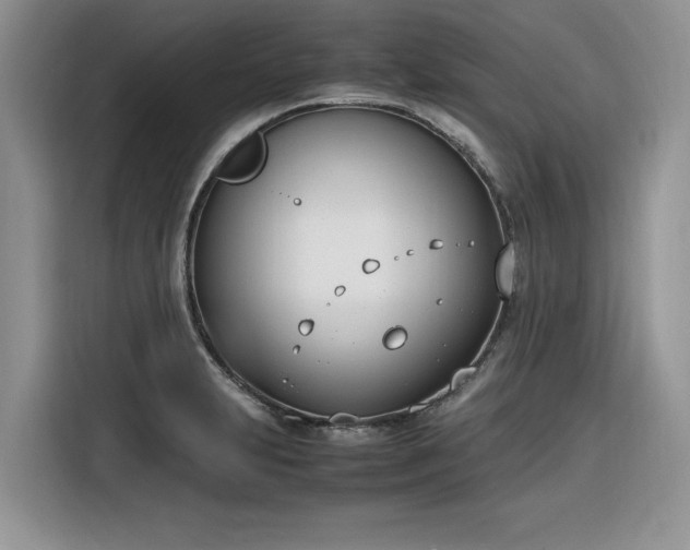 X0000116291231200912071204