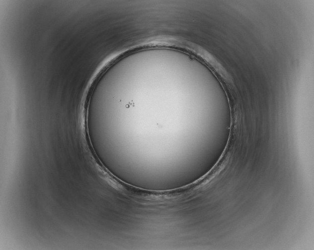 X0000116291232200912071204