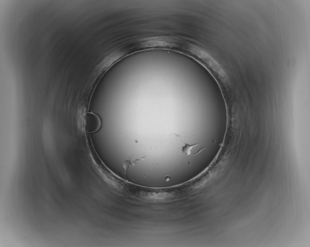 X0000116291233200912071204