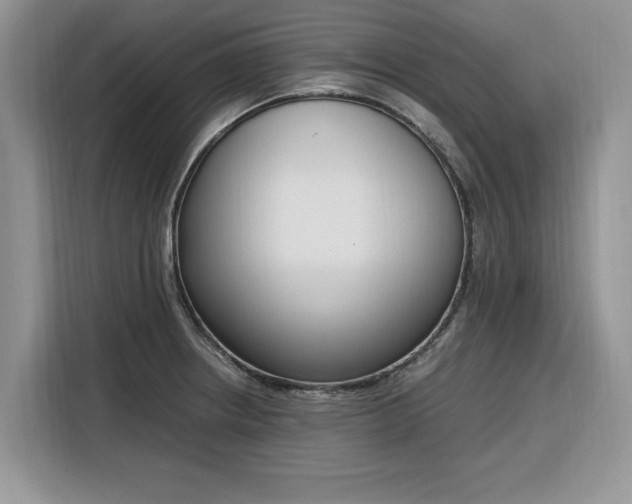 X0000116291234200912071204