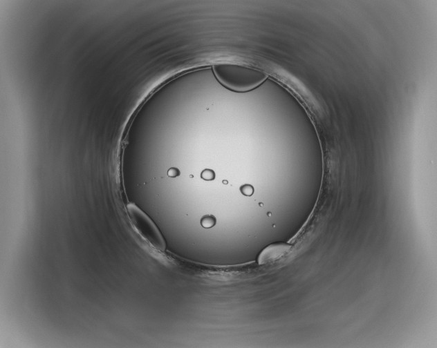 X0000116291236200912071204