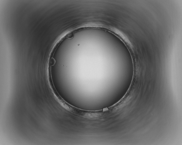 X0000116291237200912071204