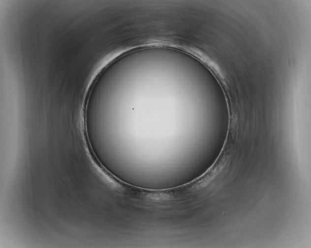 X0000116291239200912071204