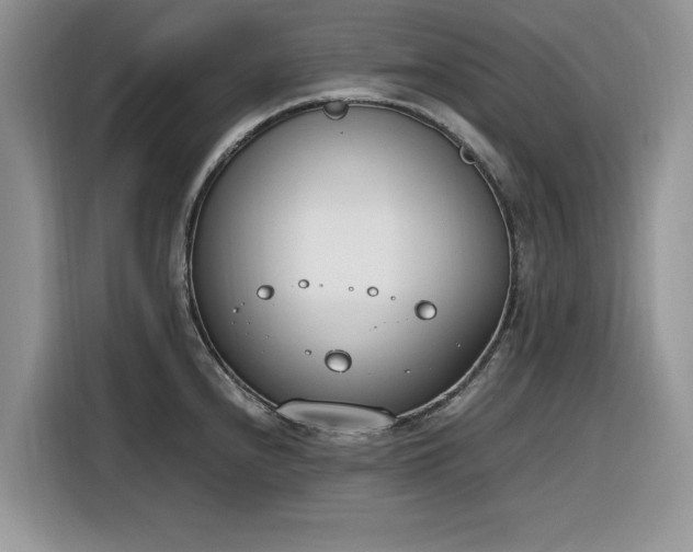 X0000116291240200912071204