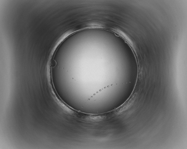 X0000116291243200912071204