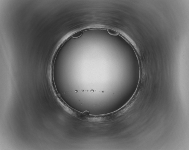 X0000116291245200912071204