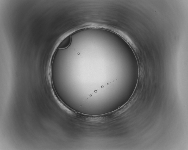 X0000116291247200912071204