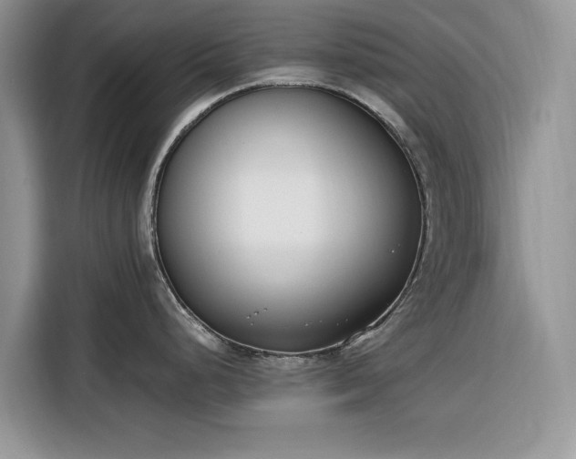 X0000116291248200912071204