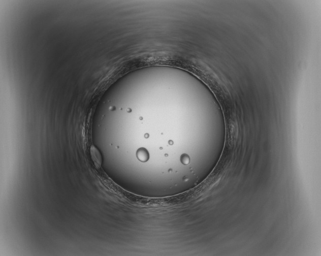 X0000116291250200912071204