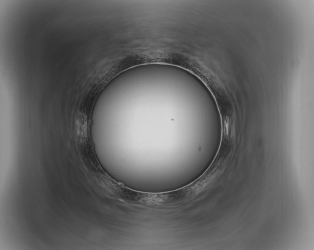 X0000116291251200912071204