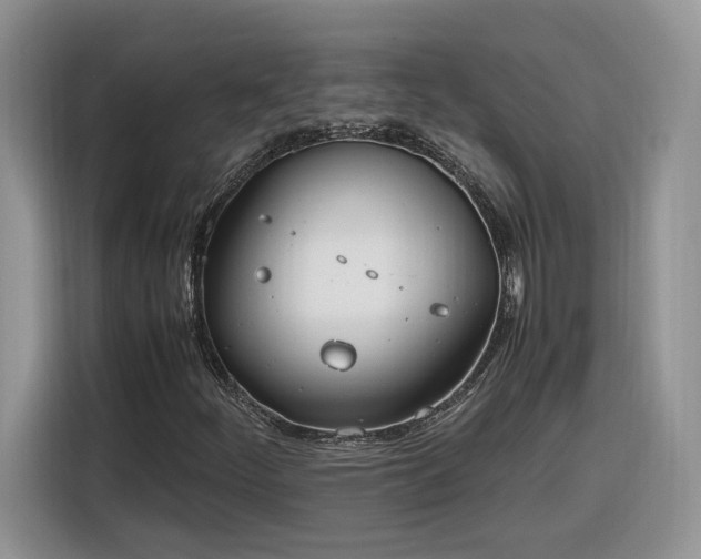 X0000116291252200912071204