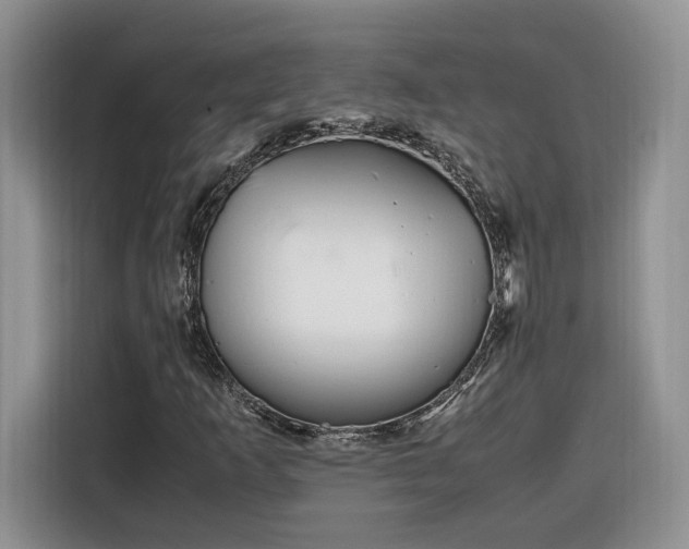 X0000116291253200912071204