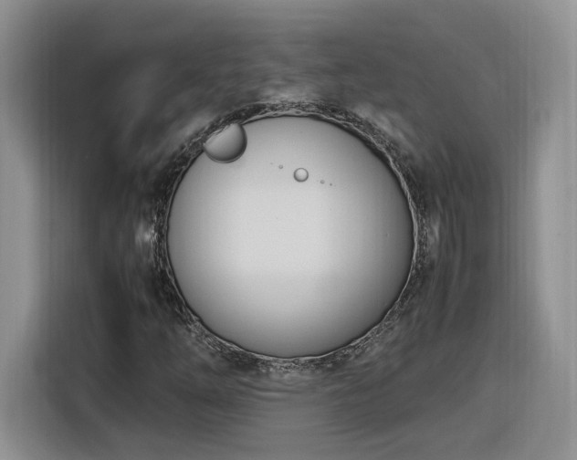 X0000116291254200912071204