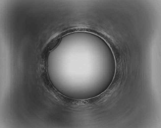 X0000116291255200912071203