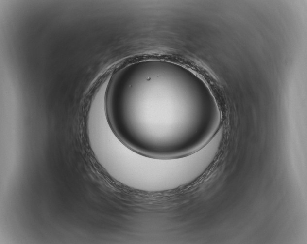 X0000116291256200912071203