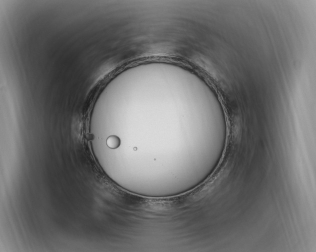 X0000116291258200912071203