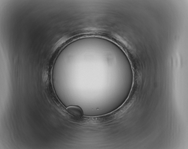 X0000116291259200912071203