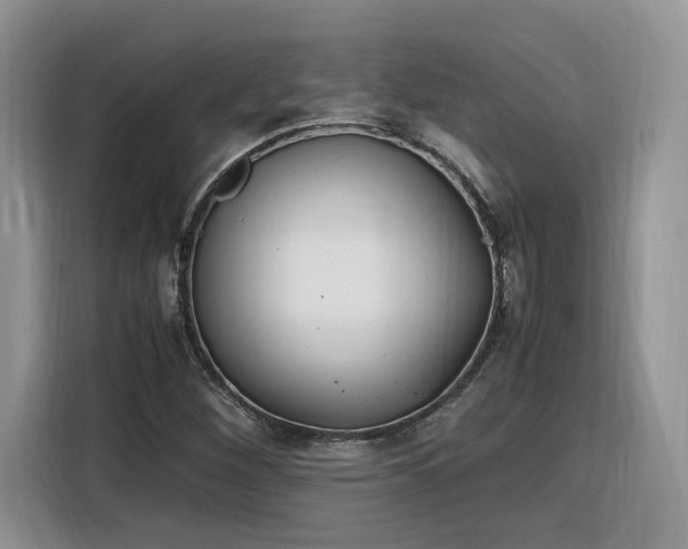 X0000116291260200912071203