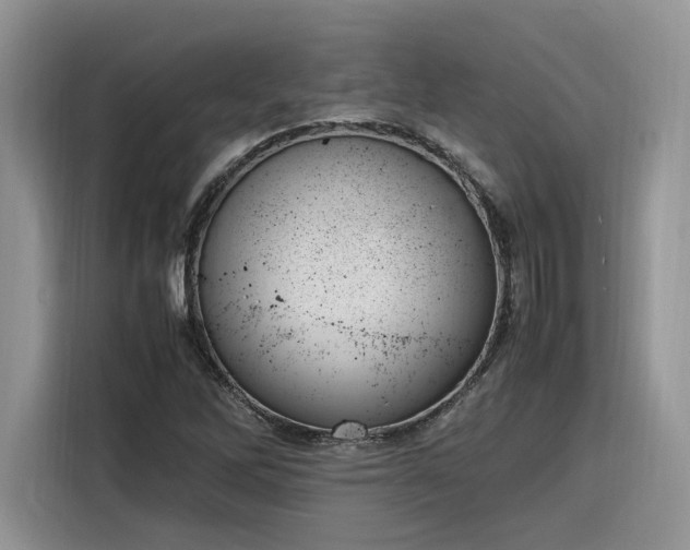 X0000116291262200912071203