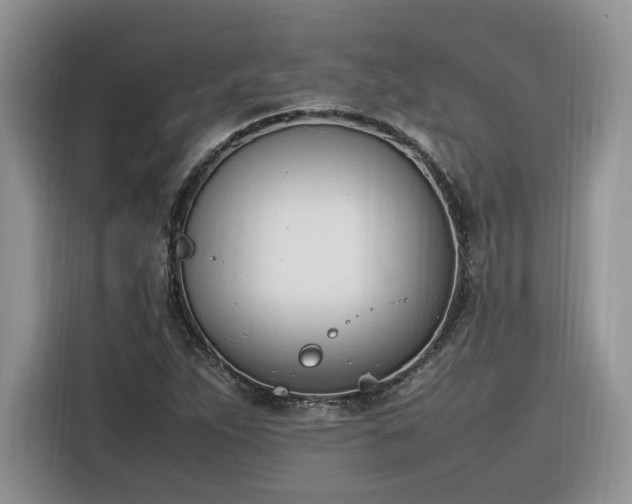 X0000116291263200912071203