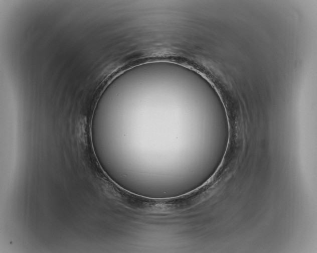 X0000116291265200912071203