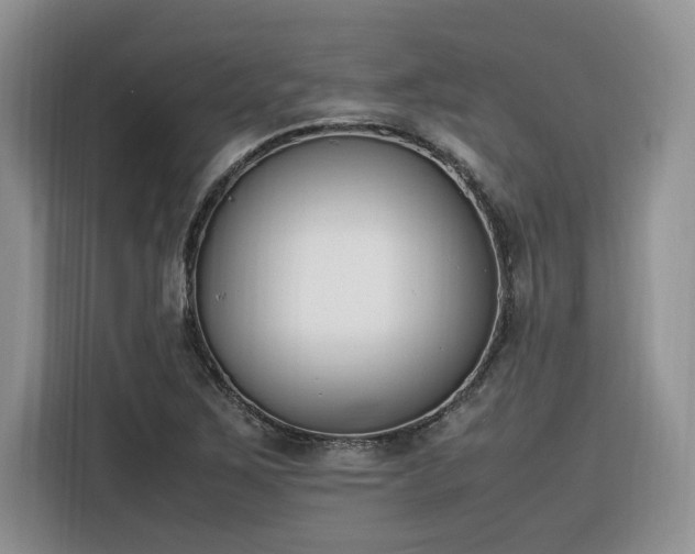 X0000116291267200912071203