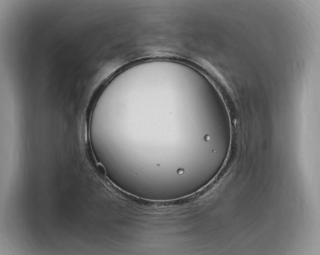 X0000116291269200912071203