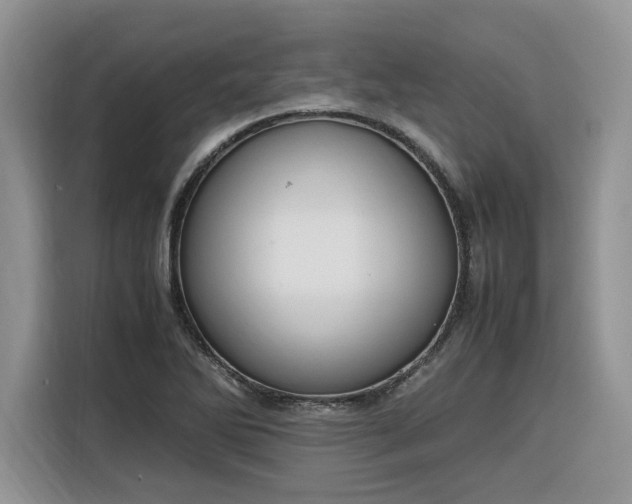 X0000116291270200912071203