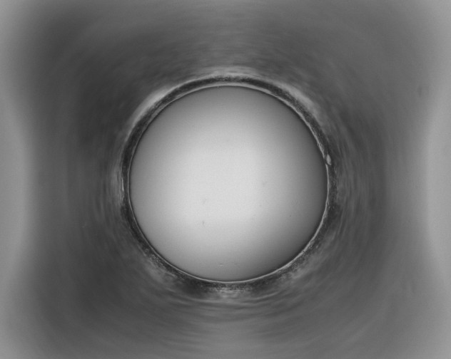 X0000116291271200912071203