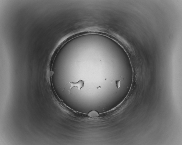 X0000116291272200912071203