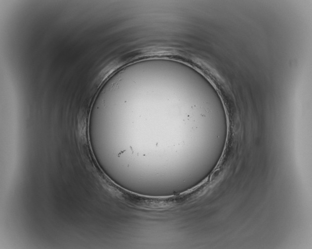 X0000116291273200912071203