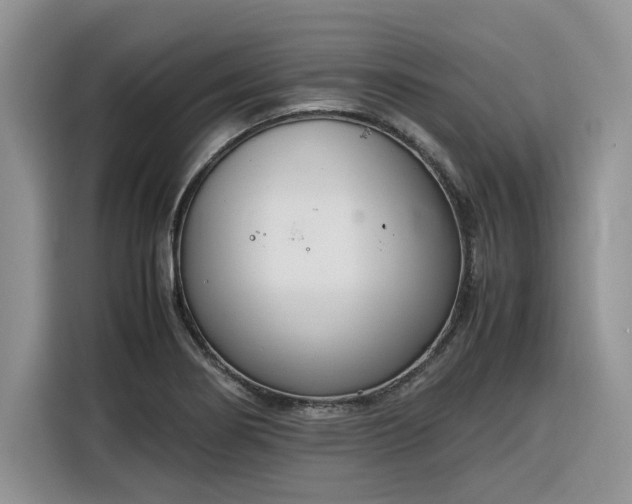 X0000116291274200912071203