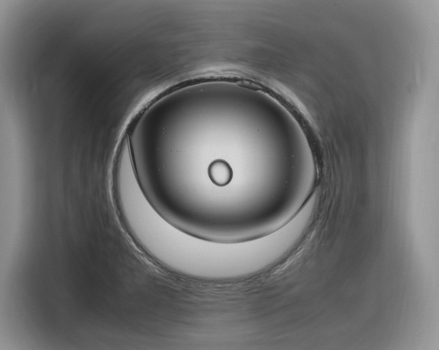 X0000116291277200912071203