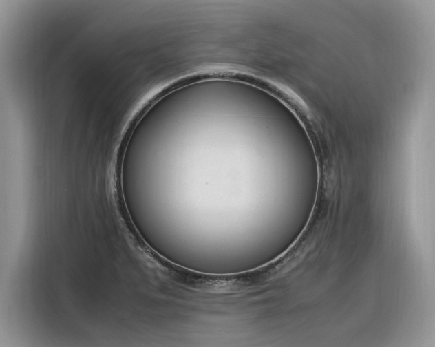 X0000116291279200912071203