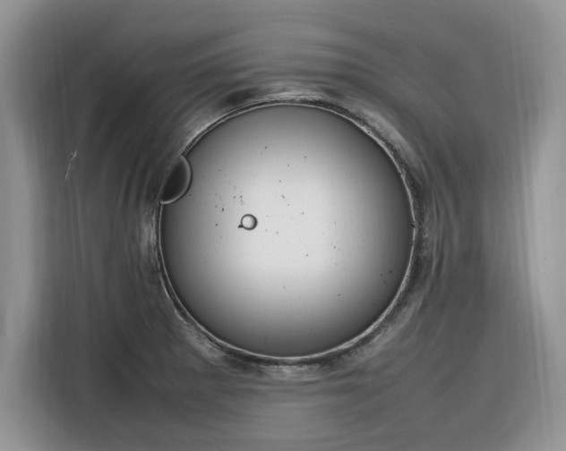 X0000116291281200912071203