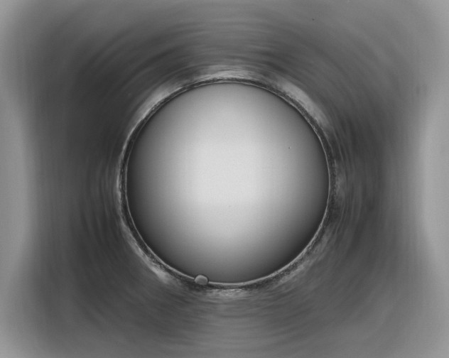 X0000116291282200912071203