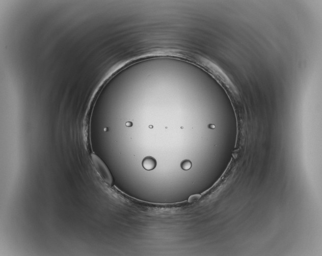 X0000116291284200912071203