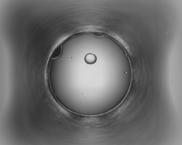 X0000116291285200912071203