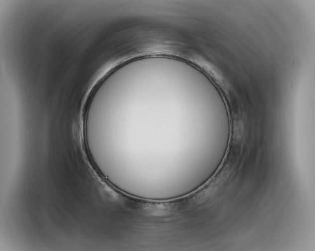 X0000116291286200912071203