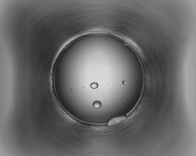 X0000116291288200912071203