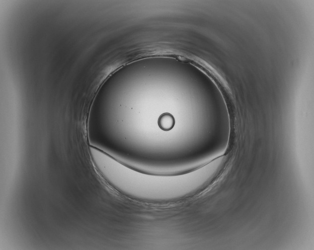 X0000116291289200912071203