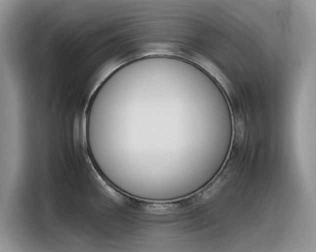 X0000116291290200912071203