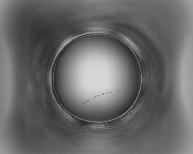 X0000116291291200912071203